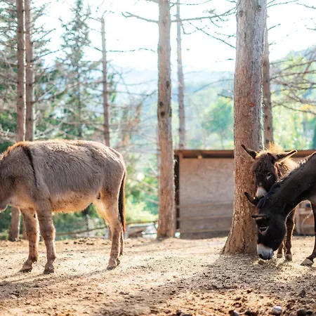 La Valle Dei Caprioli Village Park - Freelandia Azienda Agricola