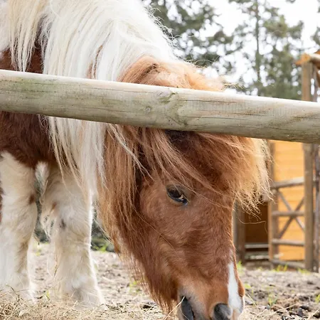 La Valle Dei Caprioli Village Park - Freelandia Azienda Agricola 3*